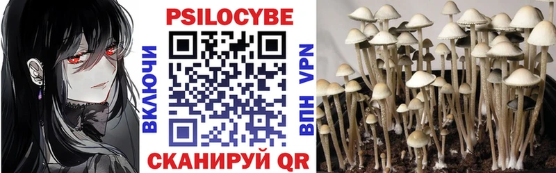 Купить закладки  Усть-Катав  Галлюциногенные грибы MAGIC MUSHROOMS 